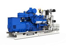 Газовый генератор POWERLINK CG1000SNG 